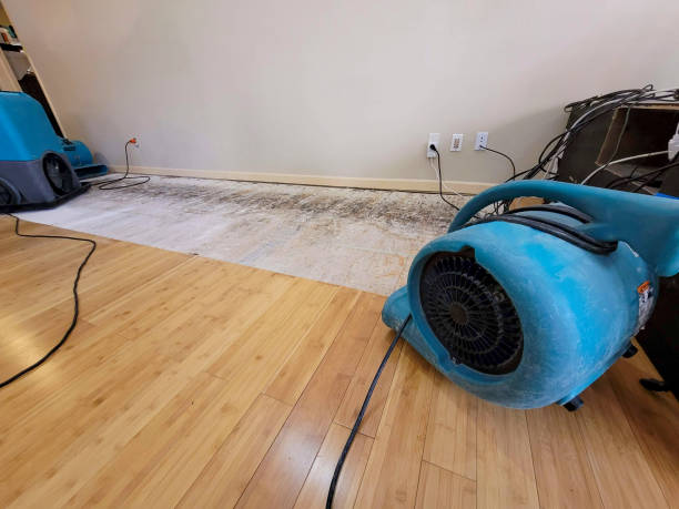 Professional Emergency Water Damage technician working in Jacks Creek, TN
